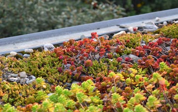 the cost of Roosecote green roof installation