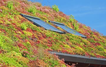 Roosecote living roof systems